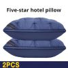 2pack  Bread Pillow-hote